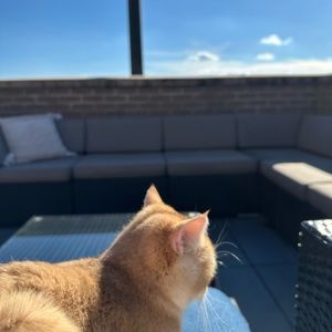 Meet your Posher, Shuwen